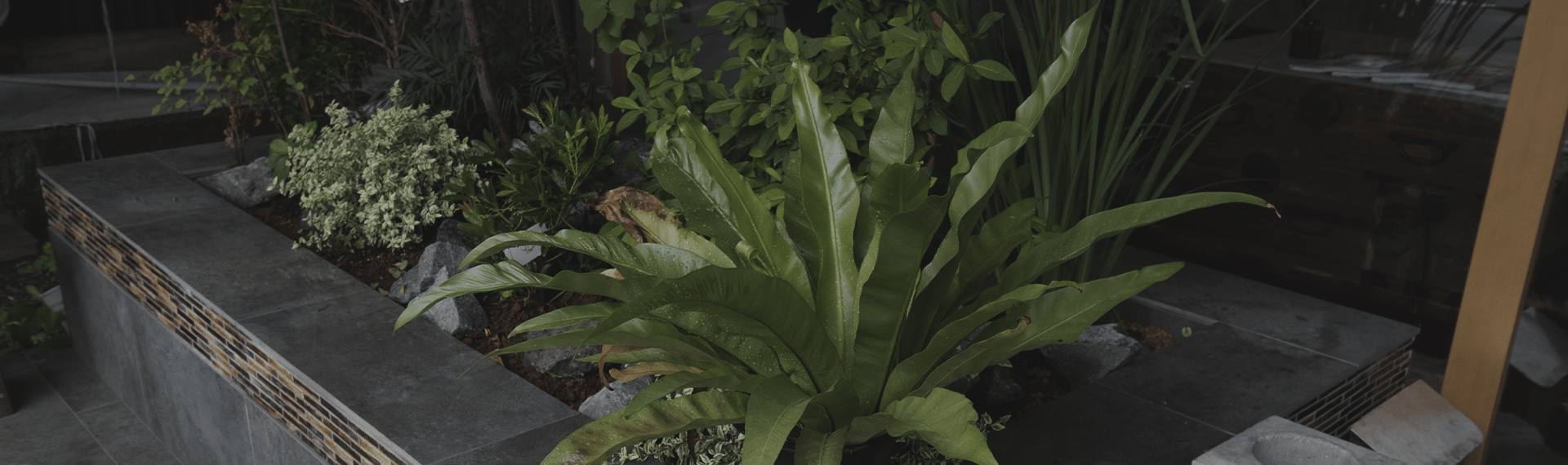 プライバシーポリシー